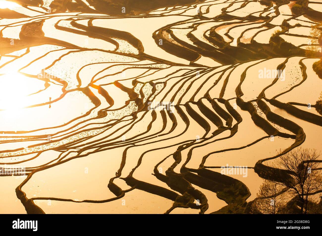 Luftaufnahme atemberaubende Aussicht auf Yuanyang Reis Terrassen bei Sonnenaufgang, Stamm Hani männlichen Arbeiten in der Reis-Terrasse. Yunnan, China. UNESCO-Weltkulturerbe. Stockfoto