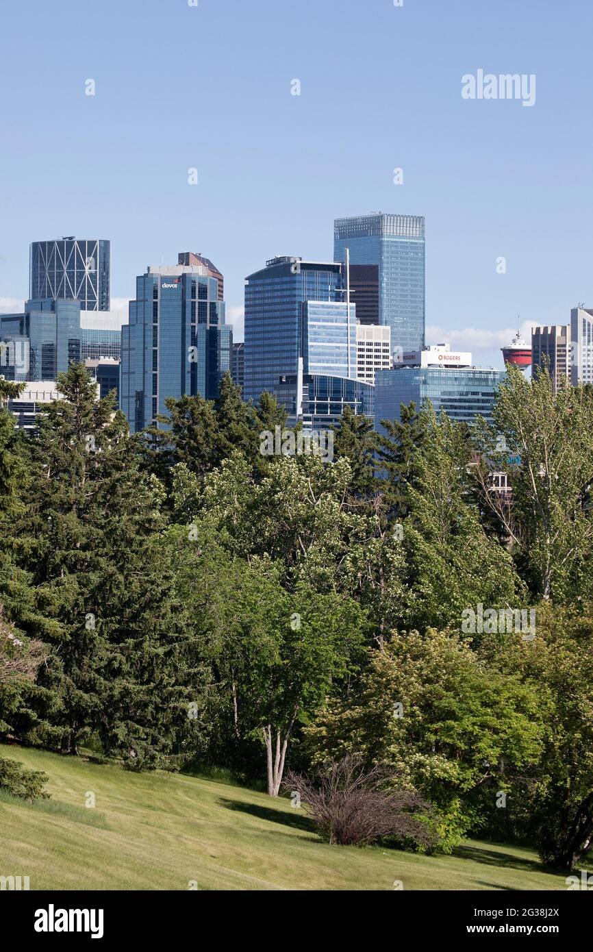 Glastürme im Geschäftsviertel der Innenstadt von Calgary mit Bäumen des Riley Park im Vordergrund Stockfoto