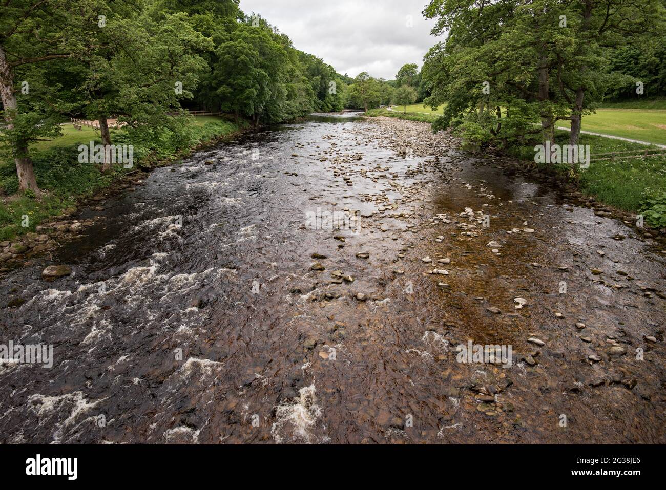 Der Fluss Wharfe in der Nähe des Cavendish Pavilion in der Bolton Abbey Stockfoto