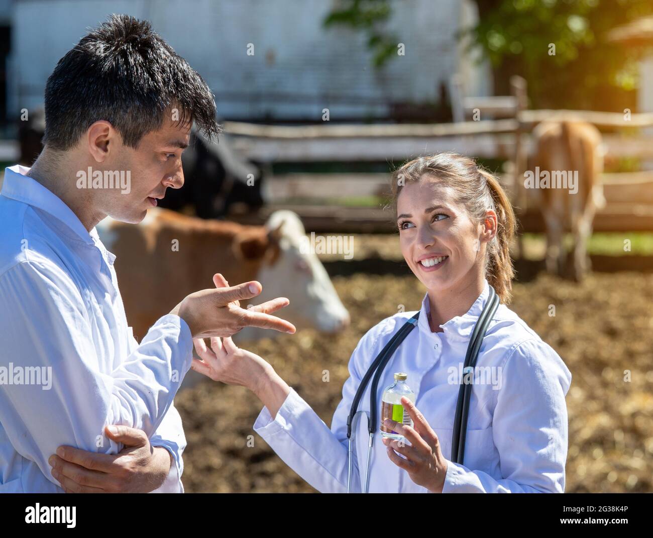 Mann und Frau sprechen über Medikamente Medizin in der Flasche. Tierärzte in weißen Mänteln auf der Ranch lächelnd über die Behandlung sprechen. Stockfoto