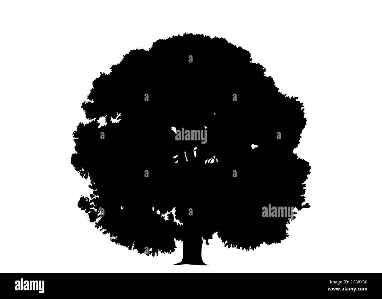 Eichenbaumsymbol. Schwarze Form auf weißem Hintergrund ausschneiden. Grafikelement für Logo, Druck, Design, Muster. Vektor. Stock Vektor