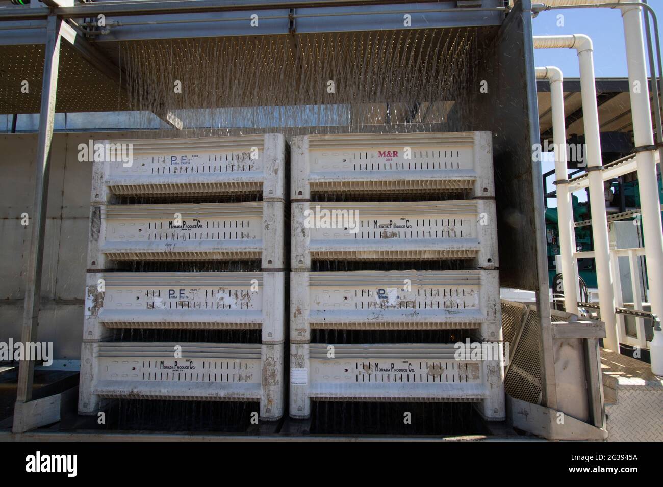 Kommerzielle, gepflückte Kirschen, die mit einer mobilen Kirschkühlmaschine in der Nähe von Gilroy, San Benito County, Kalifornien, super gekühlt werden. Stockfoto