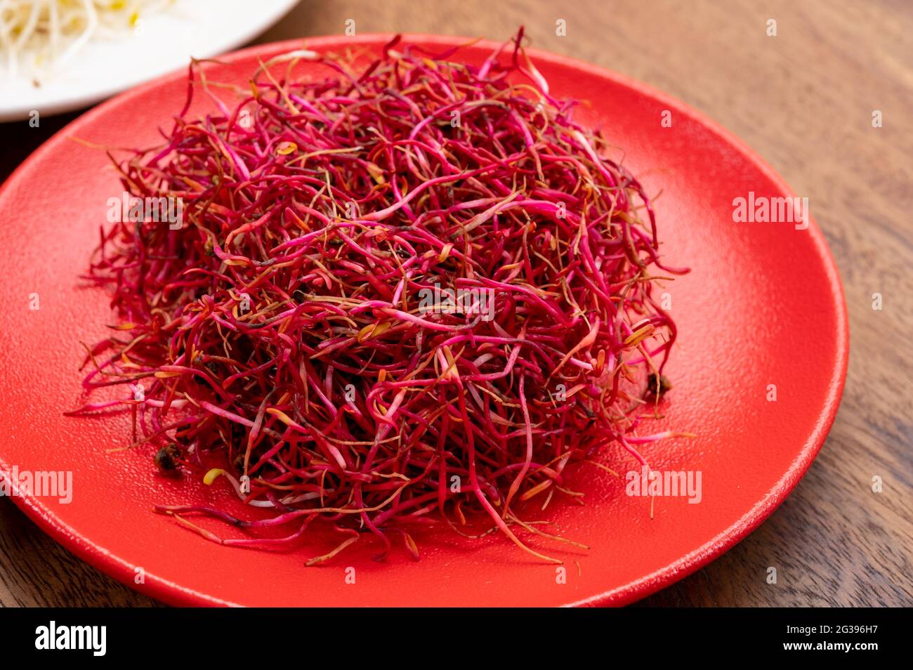 Gesunde Ernährung, junge Sprossen Pflanzen der roten Rübe bereit für den Verzehr Stockfoto