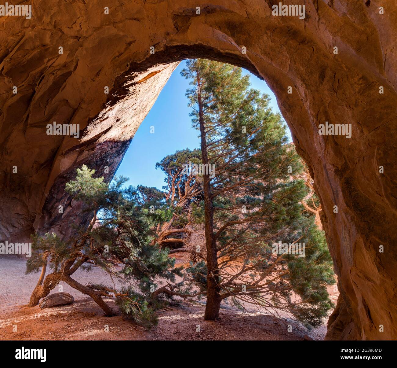 Navajo Arch, Arches National Park, Utah, USA Stockfoto