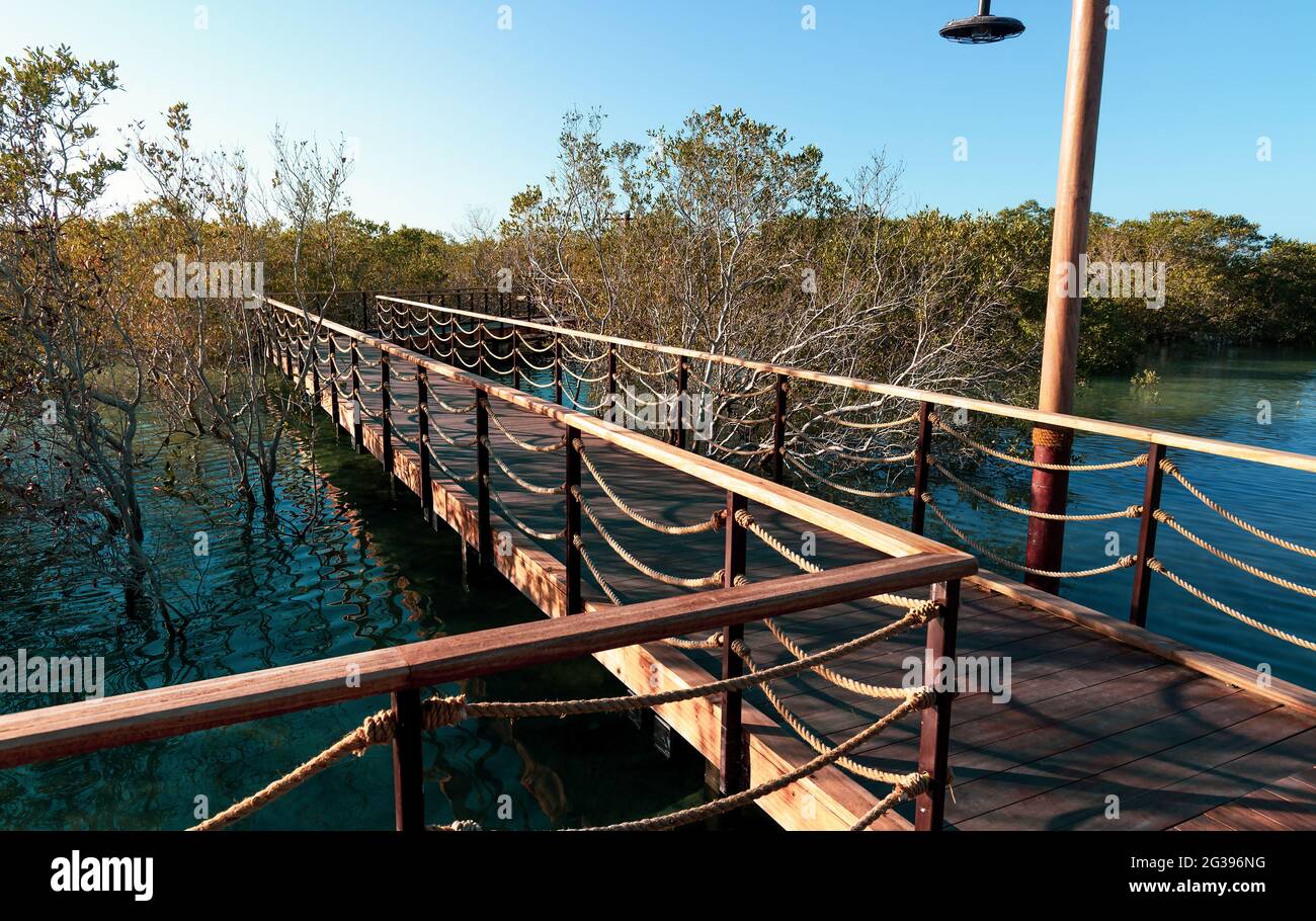 Mangrovenspaziergang Strandpromenade öffentlicher Park auf der Insel Jubail Abu Dhabi, der Hauptstadt der Vereinigten Arabischen Emirate Stockfoto