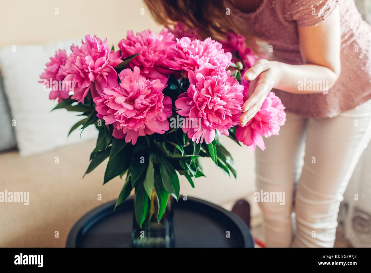 Frau, die zu Hause einen duftenden Blumenstrauß in der Vase hält. Nahaufnahme von rosa Blüten. Einrichtung und Einrichtung im Sommer Stockfoto