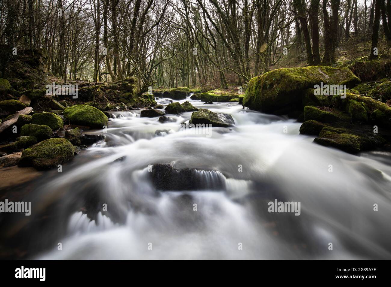 Bach fließt in Bodmin Moor, Cornwall, Großbritannien Stockfoto