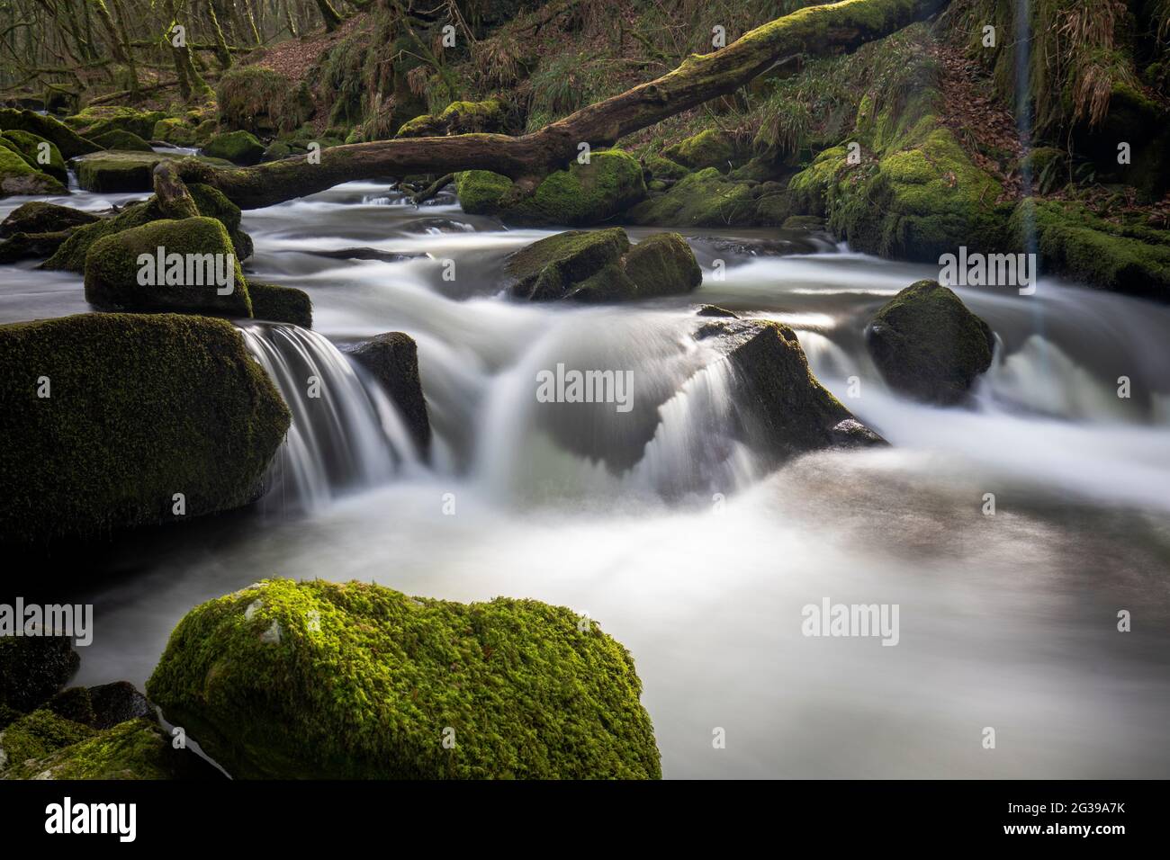 Bach fließt in Bodmin Moor, Cornwall, Großbritannien Stockfoto