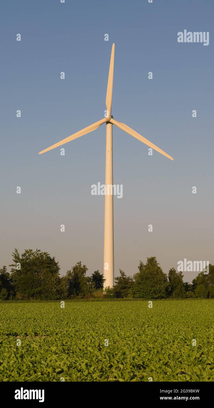 Windturbine an einem sonnigen Tag Stockfoto