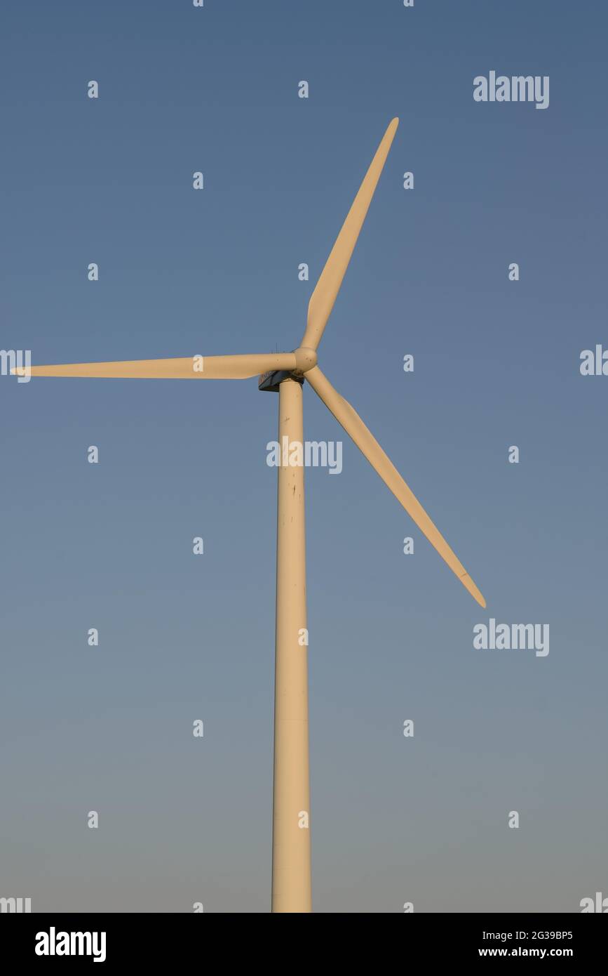 Windturbine an einem sonnigen Tag Stockfoto