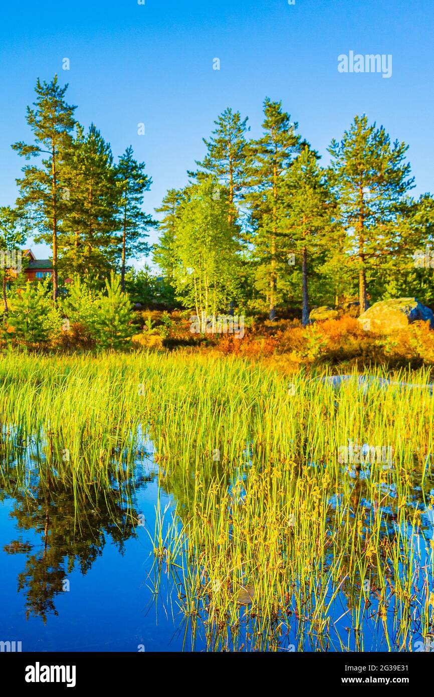 Morgenaufgang mit Spiegelung im Seenfluss in der Naturlandschaft Norwegens in Treungen Urlaubsresort in Nissedal Norwegen. Stockfoto