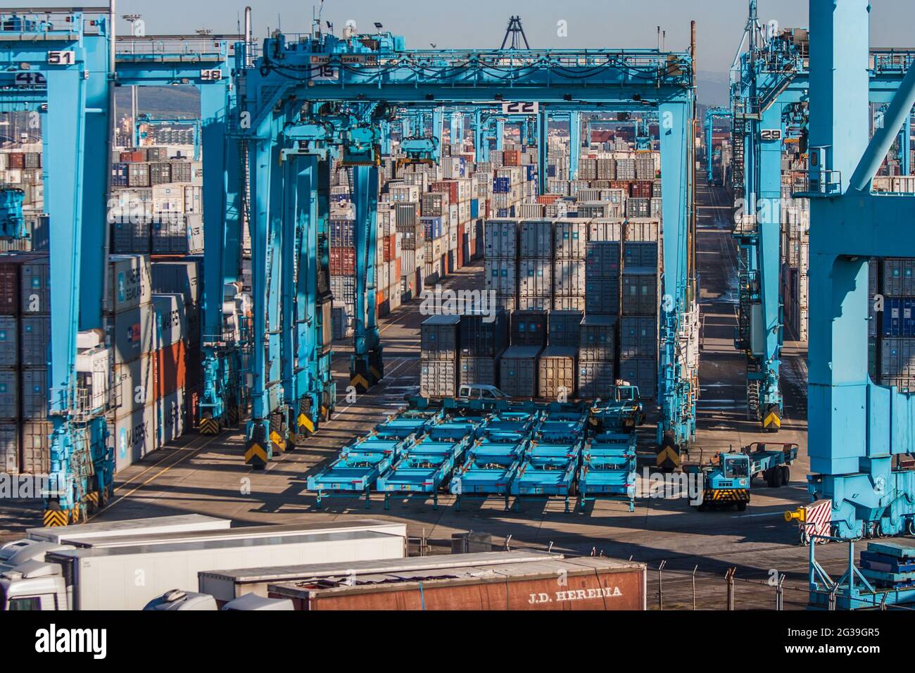 Die Containerkrane im Hafen von Algeciras Stockfoto