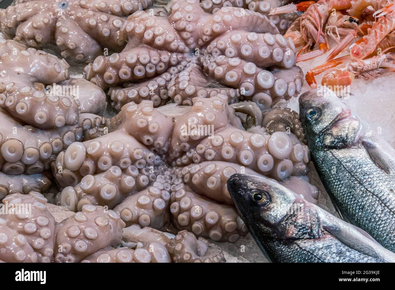 Bilder von Chioggia Stockfoto