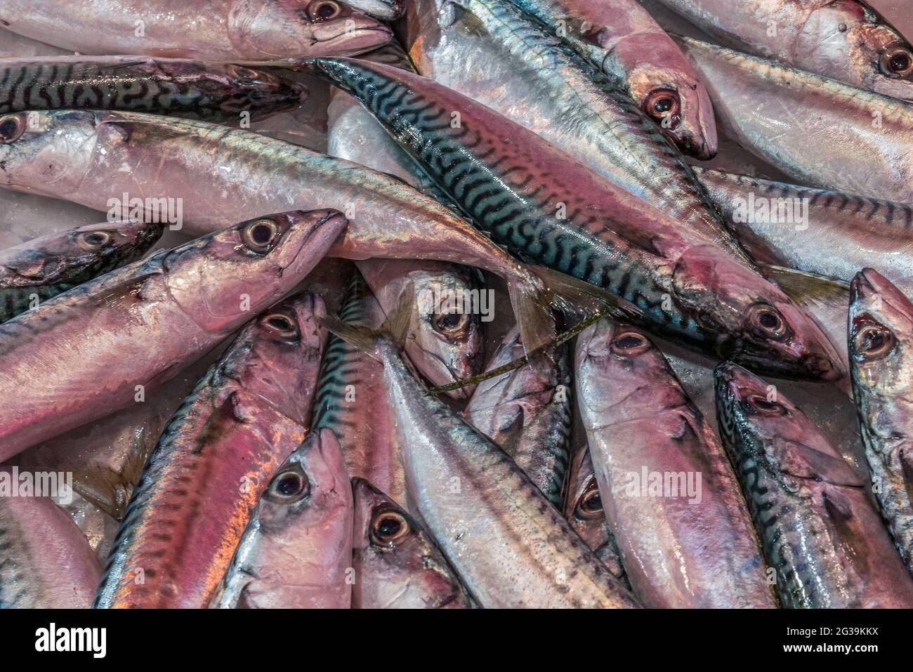 Bilder von Chioggia Stockfoto