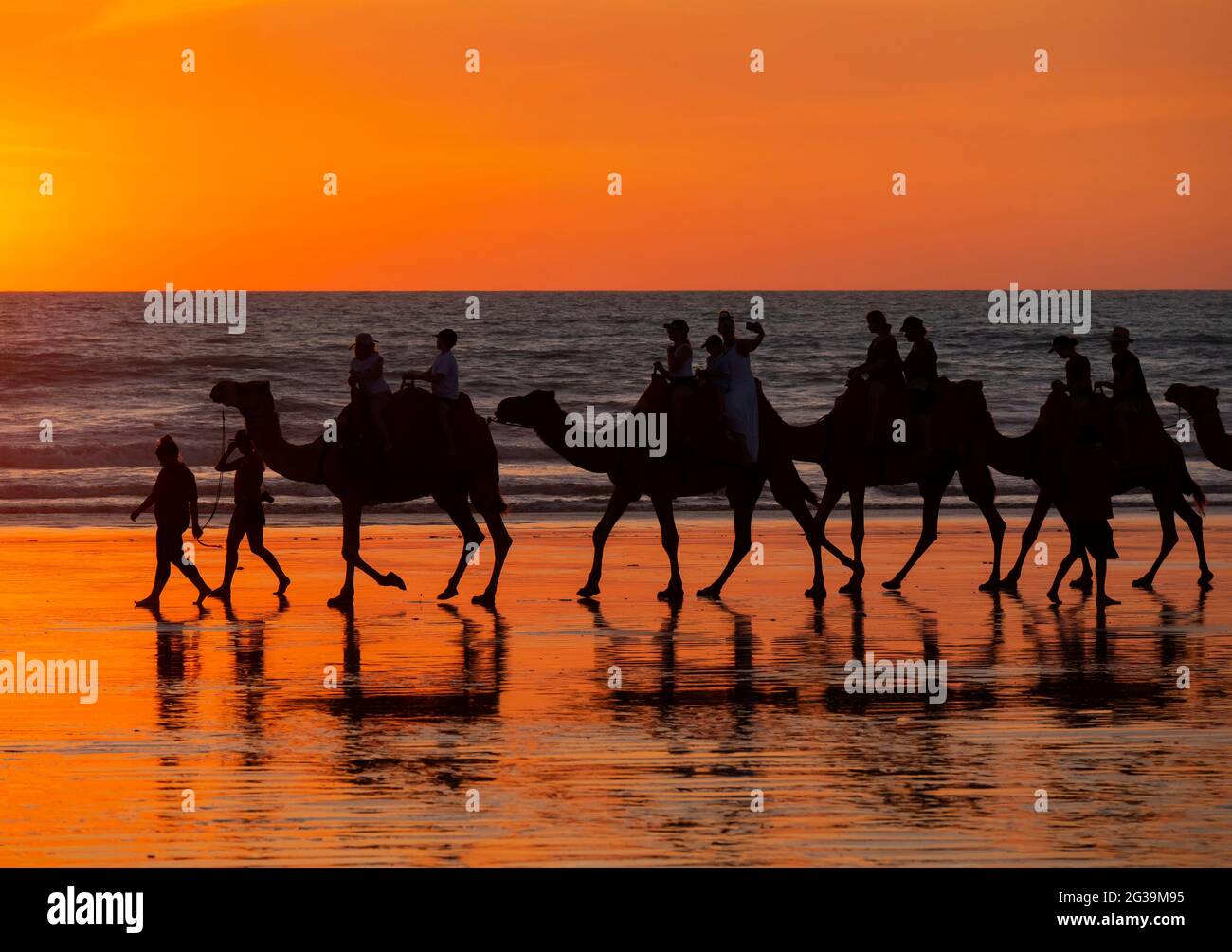 Kamelritt bei Sonnenuntergang am Cable Beach in Broome Western Australia. Stockfoto