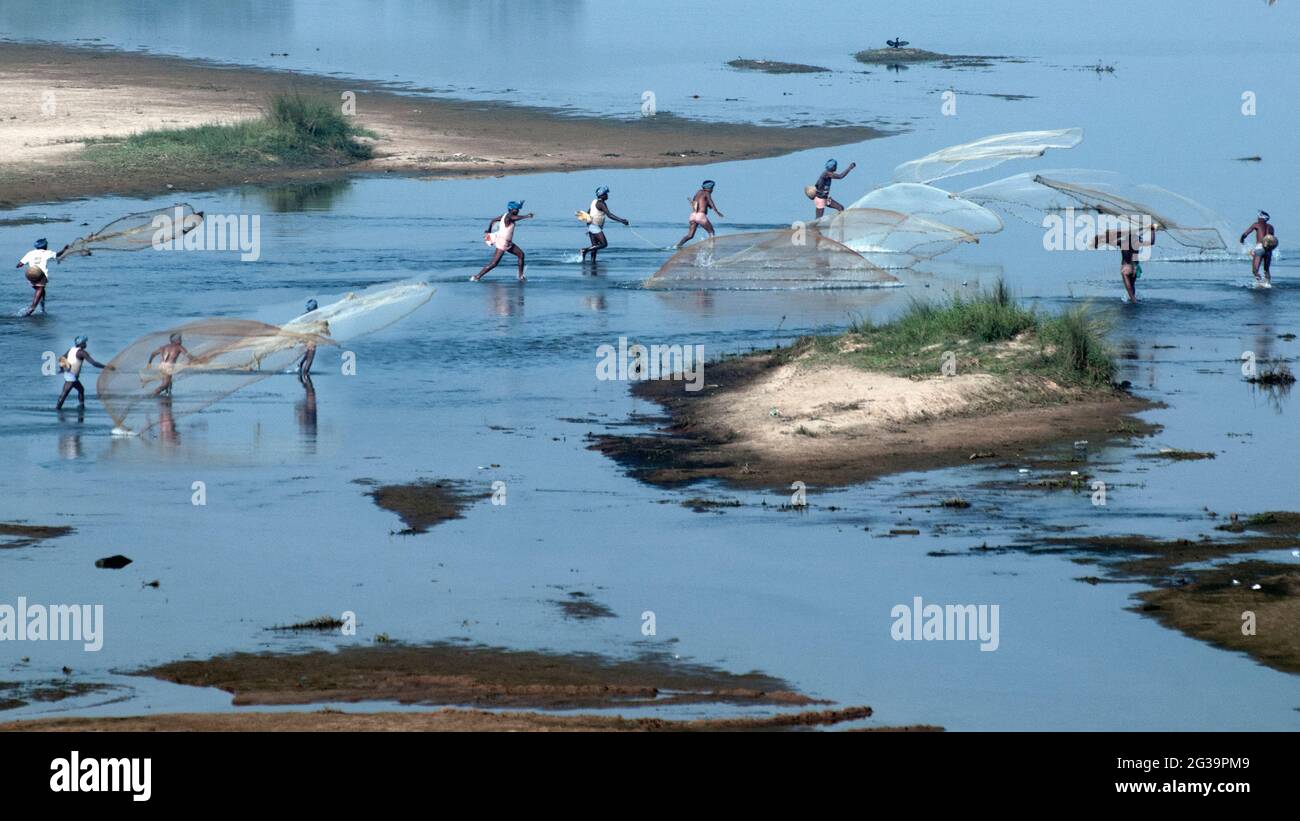 Eine Gruppe von Fischern, die mit traditionellen Fischernetzen fischen, indem sie sie in den Fluss Silabati in Medinipur (Midnavore) in Westbengalen, Indien, werfen Stockfoto