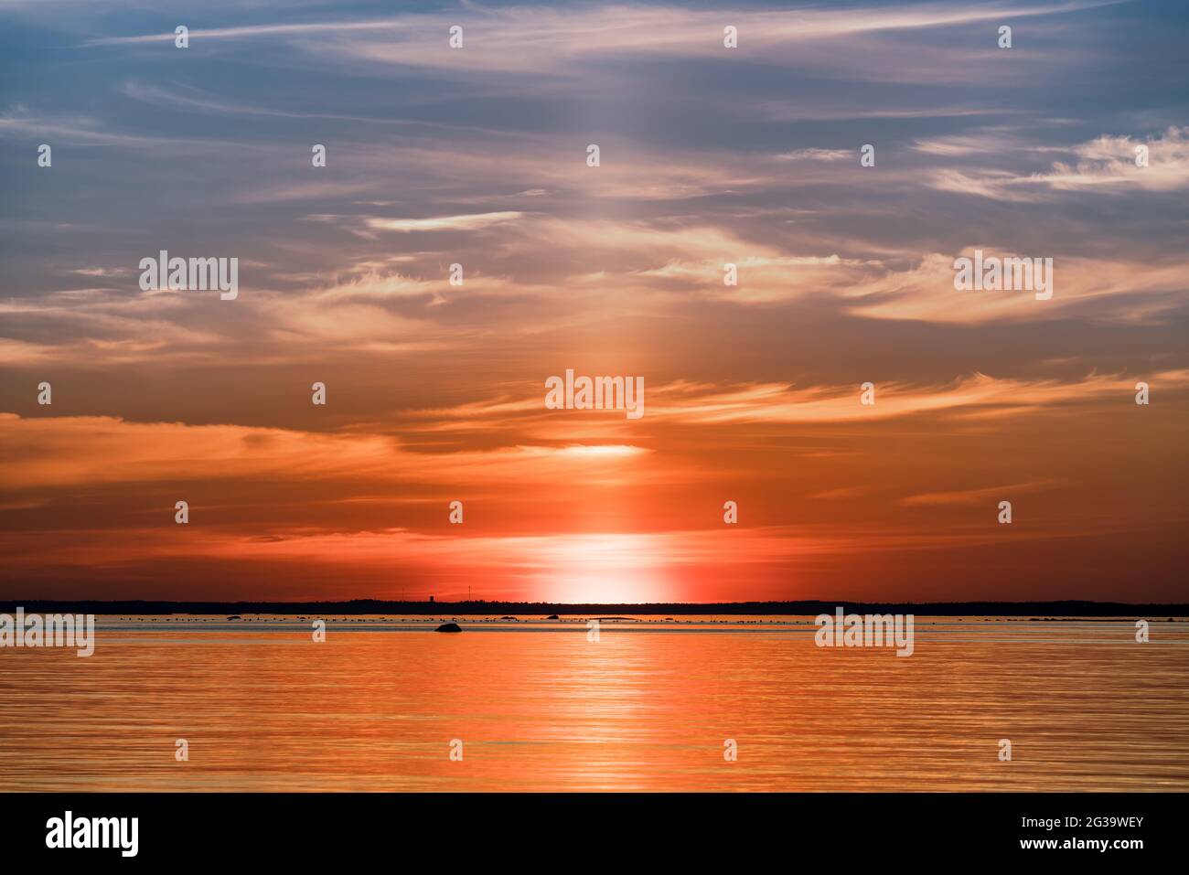 Dutzende und Dutzende Schwäne fliegen knapp über dem Meeresspiegel, von der Insel Ristisaari aus gesehen, Pyhtää, Finnland Stockfoto