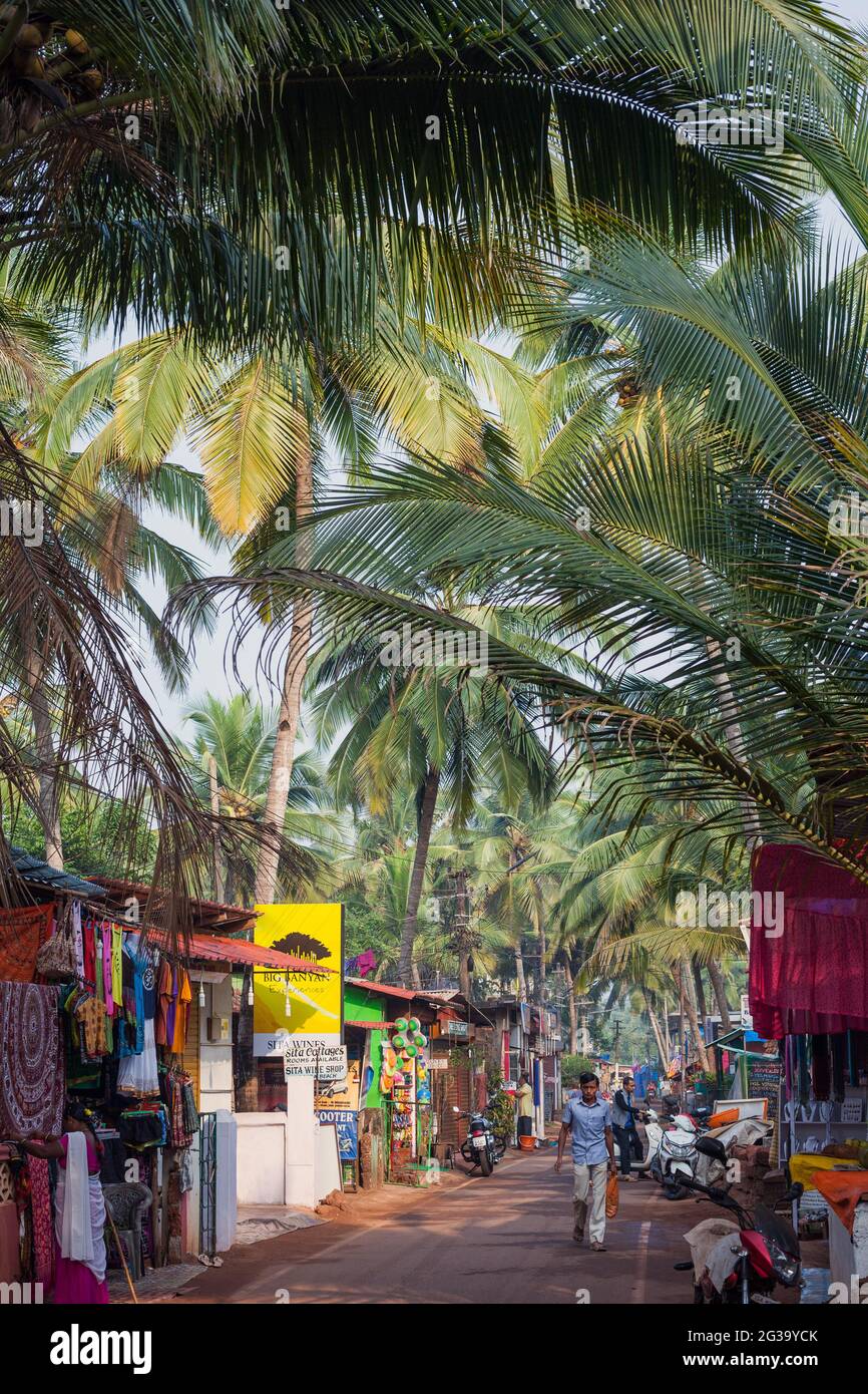 Blick auf die farbenfrohe Agonda Beach Road mit Palmenwedeln, die das Sonnenlicht durchstrahlen, Agonda, Goa, Indien Stockfoto