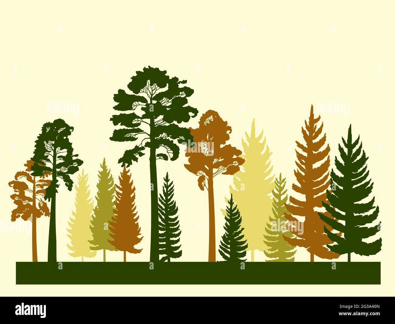 Forest Silhouette. Landschaft mit Nadelbäumen. Wunderschöne Aussicht. Kiefern- und Fichtenbäume. Sommer Naturlandschaft. Illustrationsvektor Stock Vektor