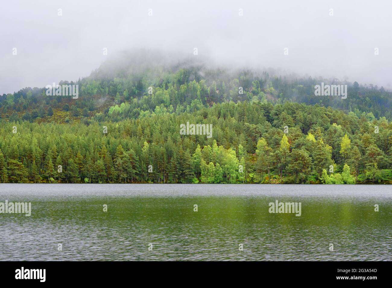 Loch an Eilein Serenity Stockfoto