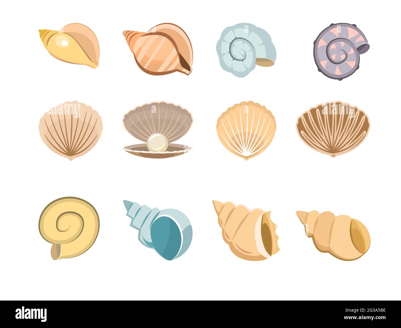 Set von Muscheln. Schale. Unterwasserwelt. Aquarium oder Teich. Sommerwasser. Isoliert auf weißem Hintergrund. Illustration im Cartoon-Stil. Flaches Design Stock Vektor