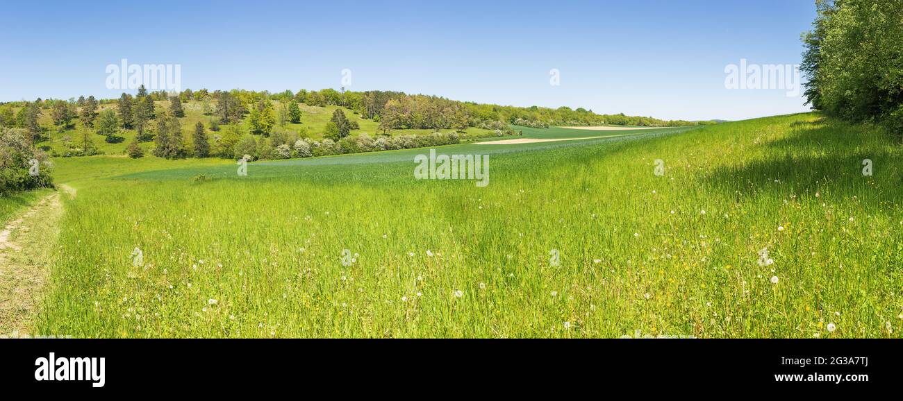Panoramablick auf das kalkhaltige Grasland in der Nähe des Fondry des chiens. Fondry stammt aus der französischen fonderie, weil ich Eisenerz aus dem Sinkhole war Stockfoto