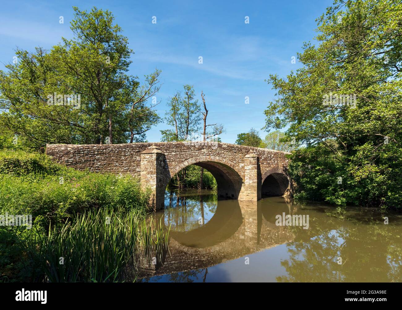 Ambersham Bridge und dem Fluss Rother, Easebourne, Nr Midhurst, West Sussex, England, VEREINIGTES KÖNIGREICH. Stockfoto