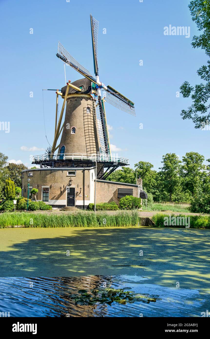 Geervliet, Niederlande, 12. Juni 2021: Die Bernisse Windmühle spiegelt sich an einem sonnigen Tag im angrenzenden Teich Stockfoto