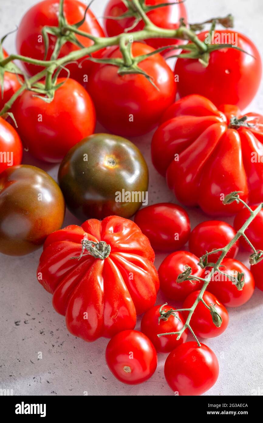Auswahl an reichen reifen roten Tomaten, Rindertomaten, isoliert auf einem einfachen Hintergrund Stockfoto