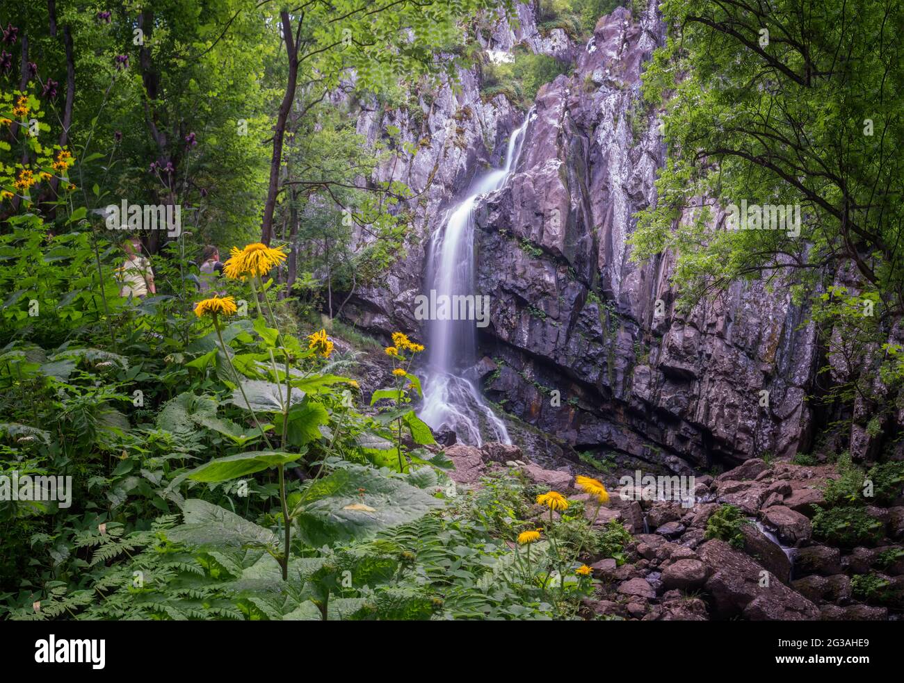 Frische Bojana Wasserfälle im tiefen Wald und Fels, Vitosha, Bulgarien Stockfoto
