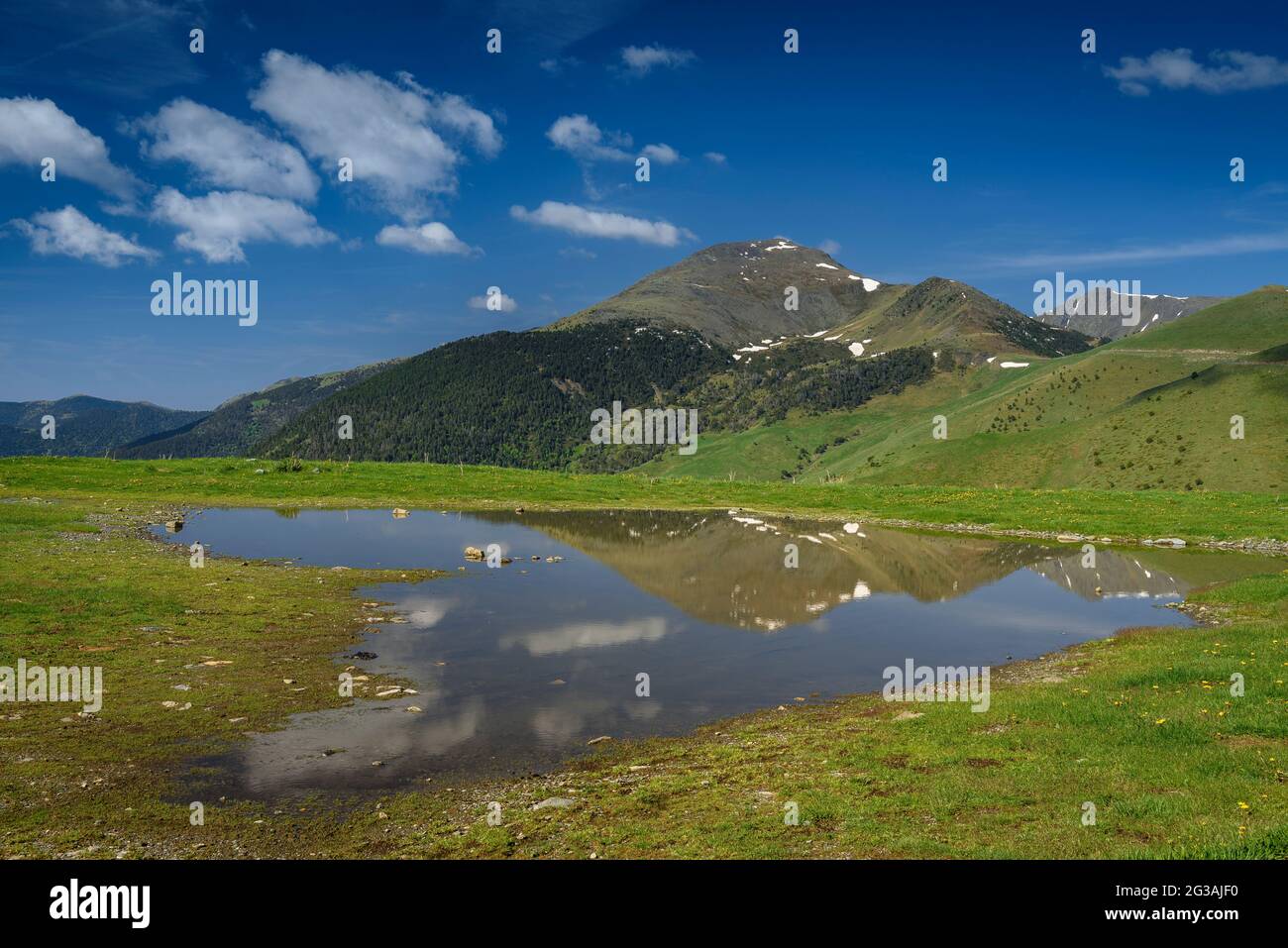 Basera-Gipfel und der Kamm zum Salòria-Gipfel von einem kleinen Teich in der Nähe des Hafens von Cabús auf dem Andorraner Hang (Andorra, Pyrenäen) aus gesehen Stockfoto