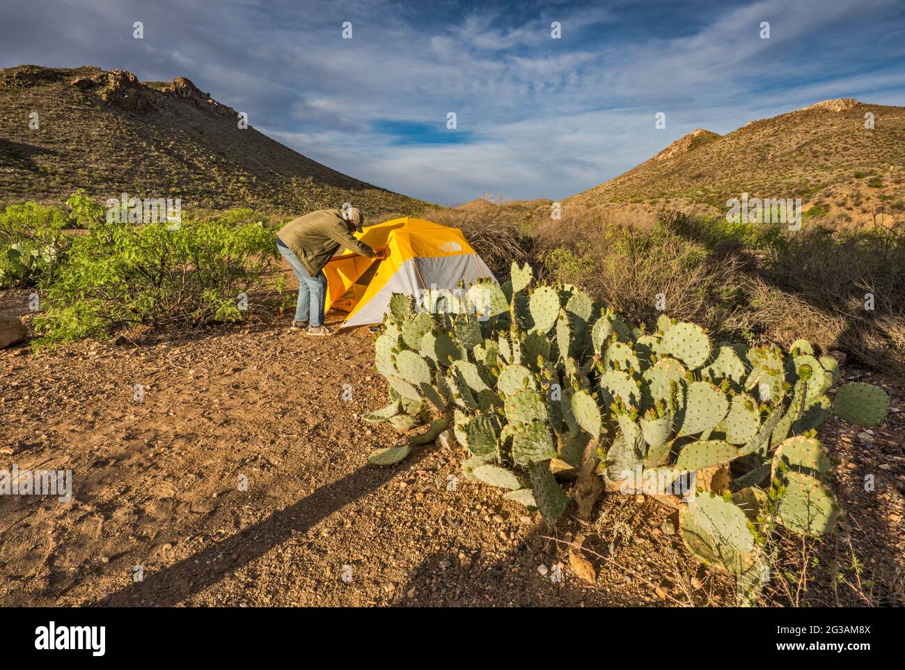 Zelt, Kaktus mit Kaktus aus Kaktus in Tres Papalotes, Campingplatz in der Gegend von El Solitario, eingestürzte und erodierte vulkanische Kuppel, Big Bend Ranch State Park, Texas, USA Stockfoto