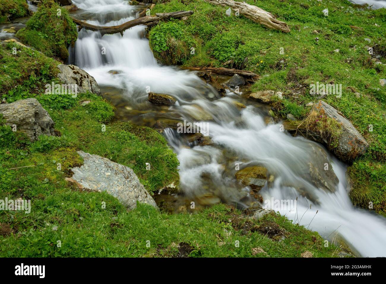 Der Fluss Rabassa im Tor-Tal im Frühling (Pallars Sobirà, Lleida, Katalonien, Spanien, Pyrenäen) ESP: El Río de la Rabassa en el valle de Tor (Pirineos) Stockfoto