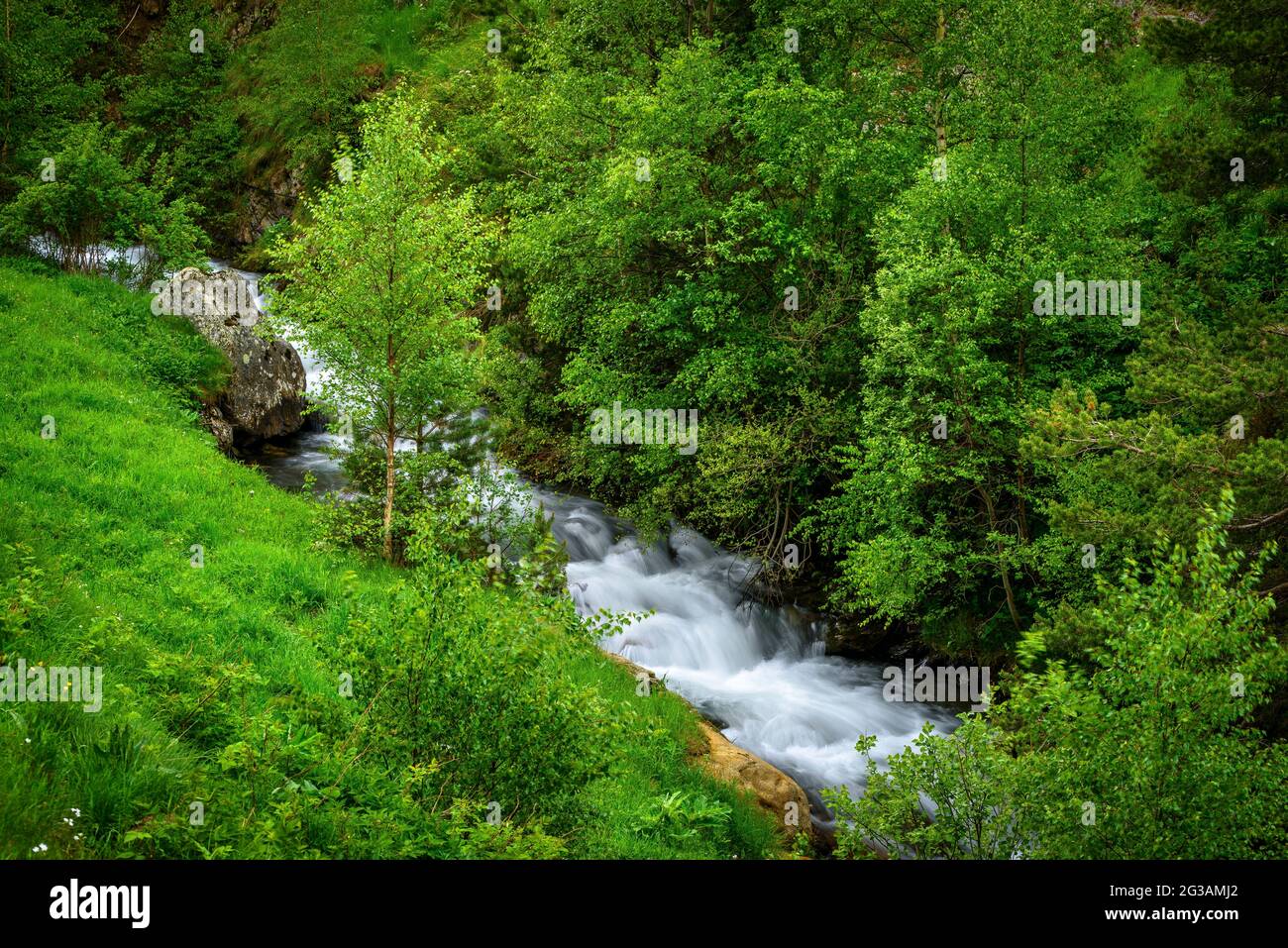 Der Fluss Rabassa im Tor-Tal im Frühling (Pallars Sobirà, Lleida, Katalonien, Spanien, Pyrenäen) ESP: El Río de la Rabassa en el valle de Tor (Pirineos) Stockfoto
