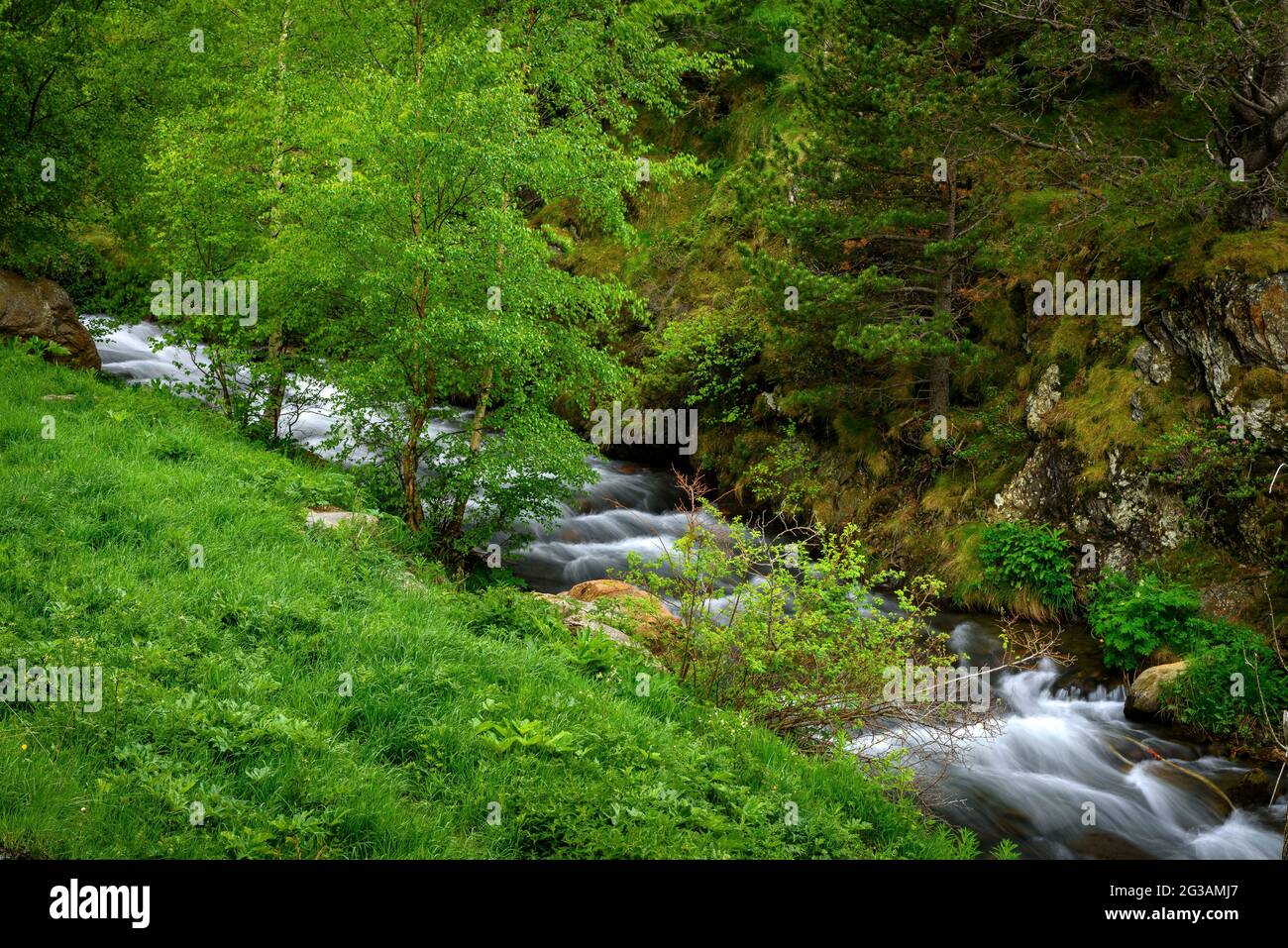 Der Fluss Rabassa im Tor-Tal im Frühling (Pallars Sobirà, Lleida, Katalonien, Spanien, Pyrenäen) ESP: El Río de la Rabassa en el valle de Tor (Pirineos) Stockfoto