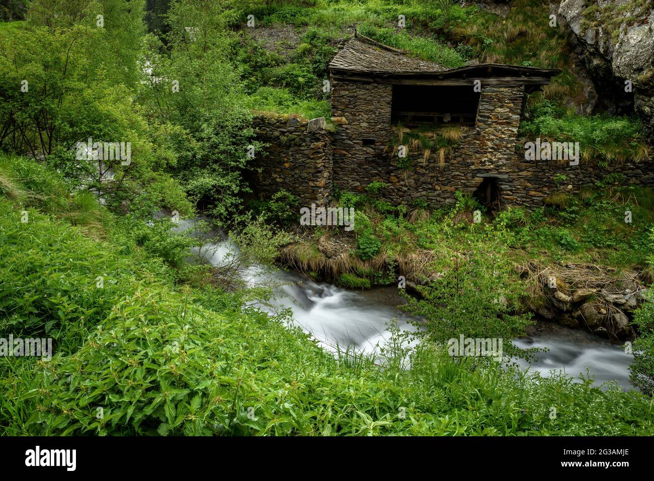 Der Fluss Rabassa im Tor-Tal im Frühling (Pallars Sobirà, Lleida, Katalonien, Spanien, Pyrenäen) ESP: El Río de la Rabassa en el valle de Tor (Pirineos) Stockfoto