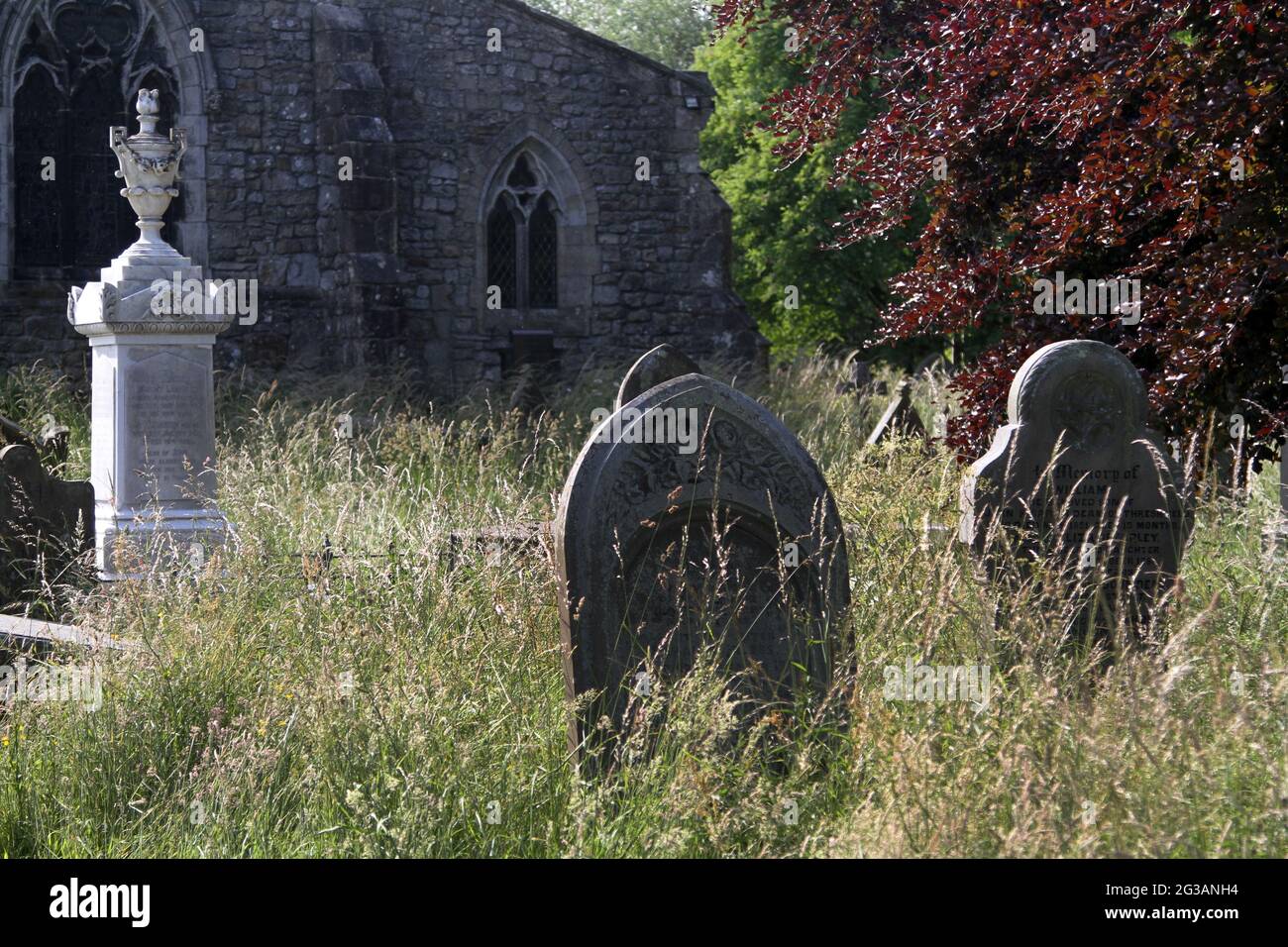 Die Pfarrkirche von Linton in der Diözese Bradford. St. Michael & All Angel Church, Yorkshire, England, Großbritannien. Der überwachsene Grabhof und der Friedhof Stockfoto