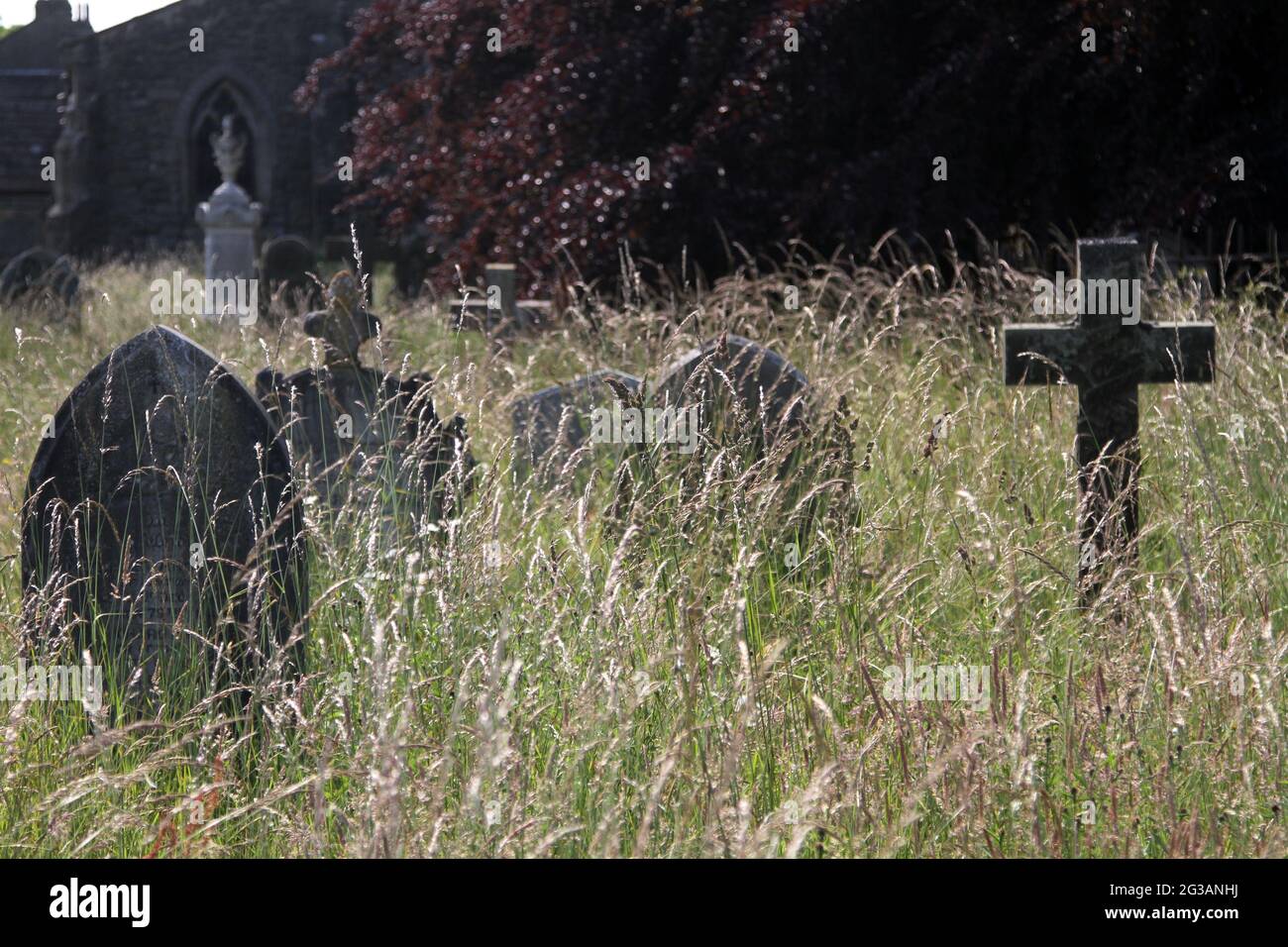 Die Pfarrkirche von Linton in der Diözese Bradford. St. Michael & All Angel Church, Yorkshire, England, Großbritannien. Der überwachsene Grabhof und der Friedhof Stockfoto