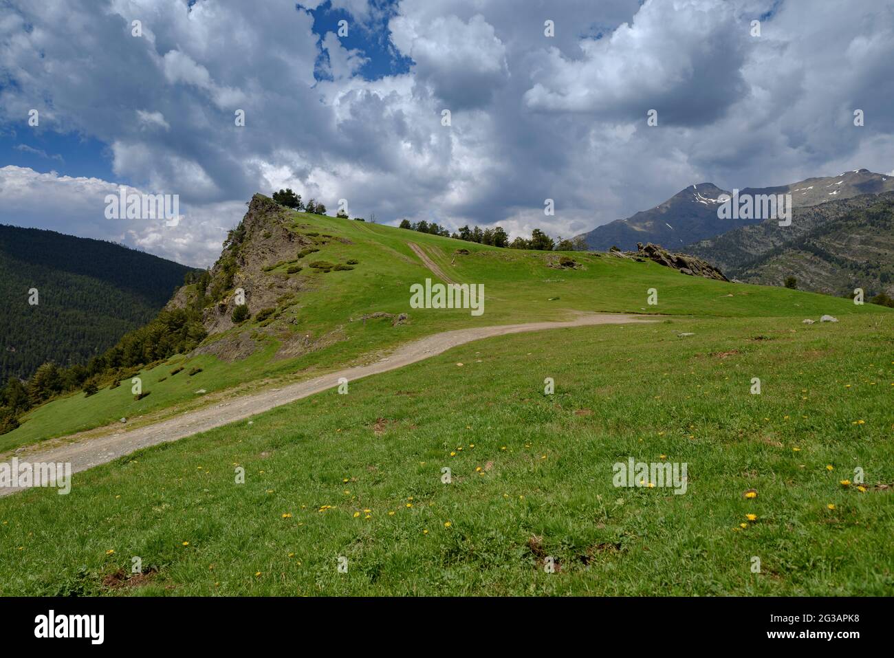 Tal von Tor von der Straße nach Andorra durch den Hafen von Cabús gesehen. Im Vordergrund der Roc de Llumeneres und grüne Wiesen im Frühjahr (Pyrenäen) Stockfoto