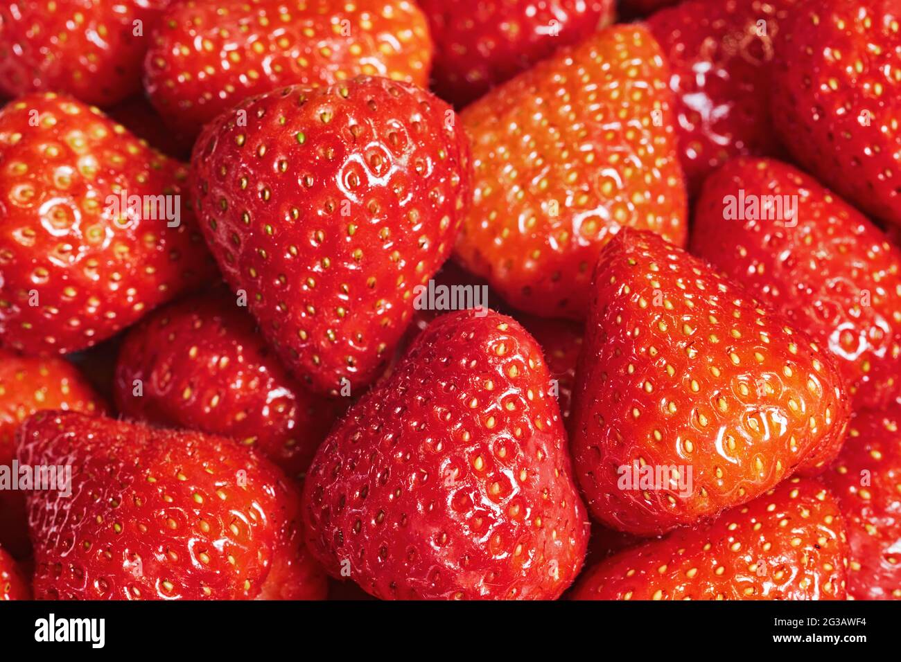 Frische reife Erdbeeren Hintergrund Nahaufnahme Stockfoto