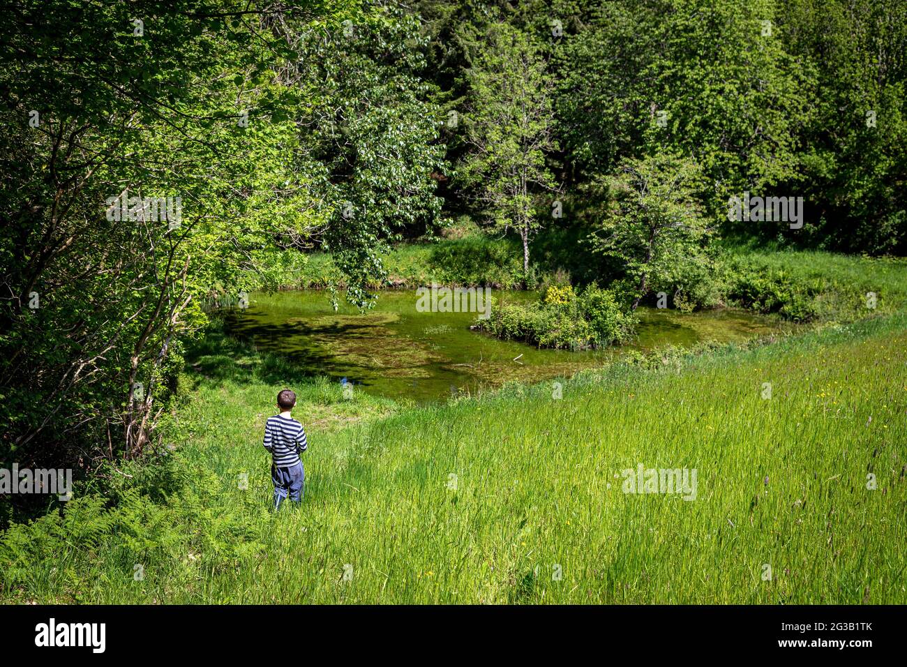 Junge, der allein auf der Wiese geht, Junge, Kind,, Kindheit, Feld, Gras, grün, Kind, Wiese, nostalgisch, Draußen, draußen, Menschen, Person, Sommer, Gehen Stockfoto