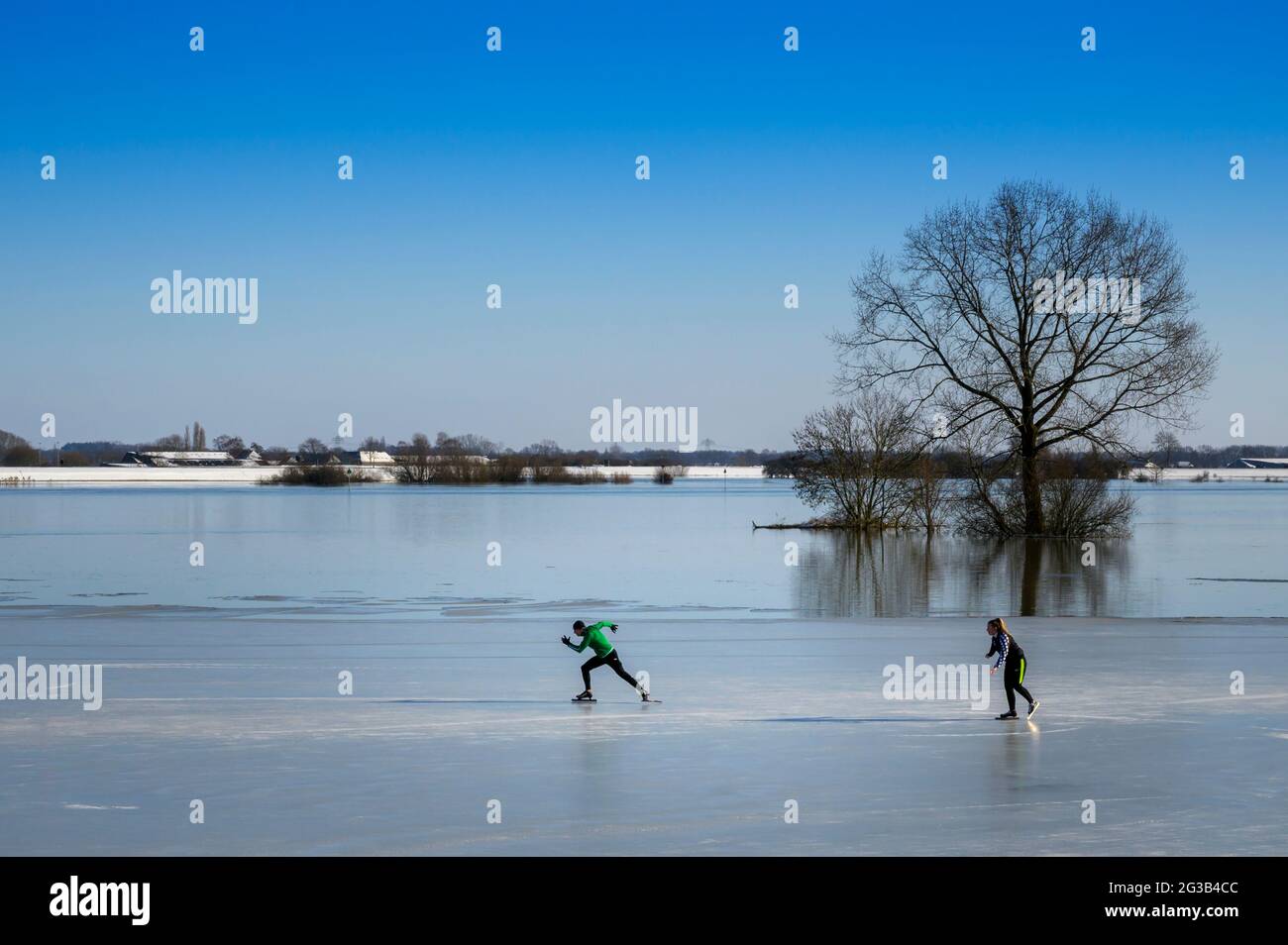 Eislaufen auf Eis in den überfluteten Hochwasserebenen des Flusses IJssel im Winter, Niederlande. Stockfoto