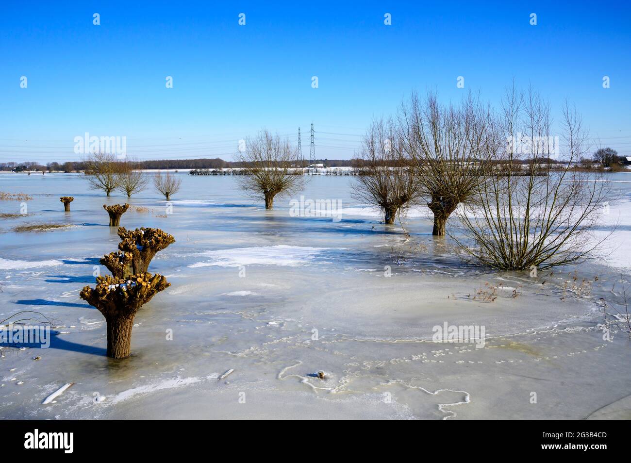 Hochwasser in der Hochwasserebene des Flusses IJssel, gefroren im Wintereis, Niederlande. Stockfoto