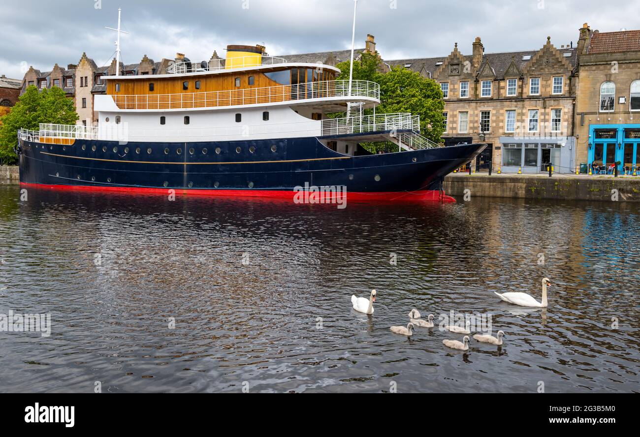 Das umgebaute Schiff Ocean Mist wurde in ein schwimmendes Hotel umgewandelt, in dem Schwäne und Cygnets im Wasser des Leith River, Edinburgh, Schottland, Großbritannien, schwimmen Stockfoto