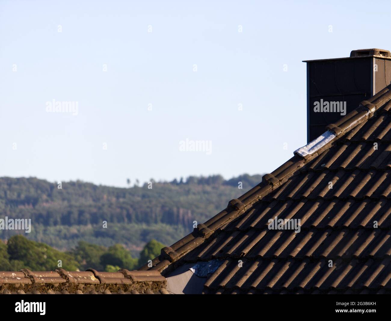 Dunkles Dach mit Moos überwuchert Stockfoto