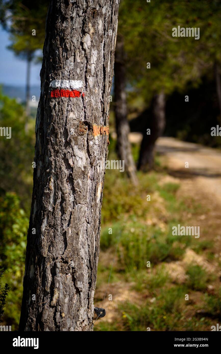 GR-Zeichen auf dem Jakobsweg (Jakobsweg) in der Nähe des Montserrat-Berges im Frühjahr (Bages, Barcelona, Katalonien, Spanien) Stockfoto