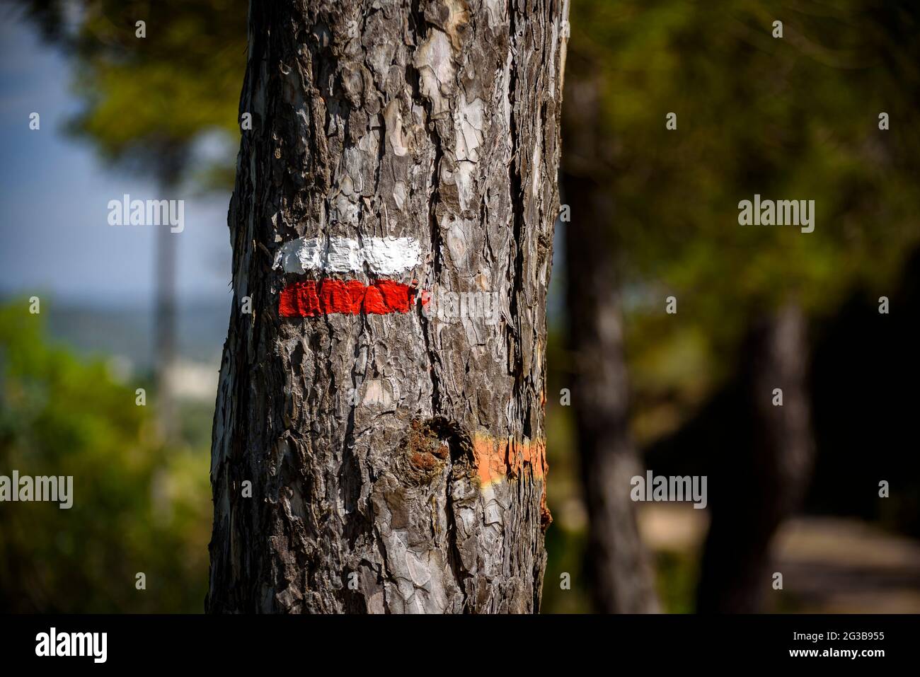 GR-Zeichen auf dem Jakobsweg (Jakobsweg) in der Nähe des Montserrat-Berges im Frühjahr (Bages, Barcelona, Katalonien, Spanien) Stockfoto