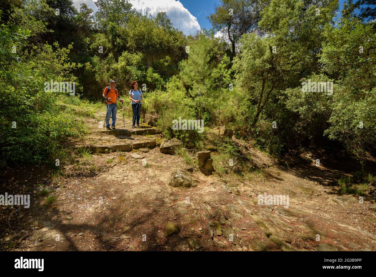 Wanderer auf einem Waldweg zwischen Castellgalí und Manresa (Bages, Barcelona, Katalonien, Spanien) ESP: Senderistas siguiendo un camino Stockfoto