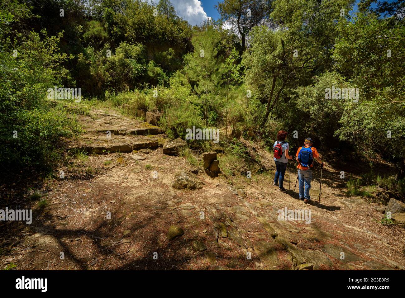 Wanderer auf einem Waldweg zwischen Castellgalí und Manresa (Bages, Barcelona, Katalonien, Spanien) ESP: Senderistas siguiendo un camino Stockfoto