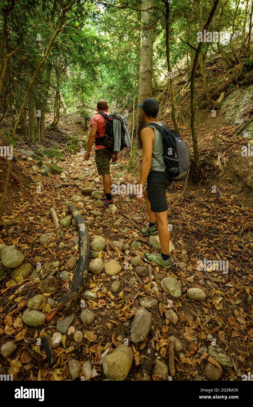 Wanderer auf dem Weg zum Gipfel von Serrat del Migdia, in der Serra de Picancel (Berguedà, Katalonien, Spanien, Pyrenäen) Stockfoto